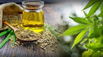 huile CBD justbob