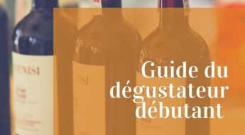 Dégustation de vin pour débutant comment s'y prendre
