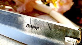 Couteau Universel Moritaka Aogami