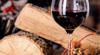 Carrefour Foire aux vins Automne 2021 les vins rouges