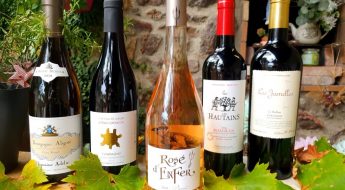 Sélection de vins pour l'été 2021 (partie 3)