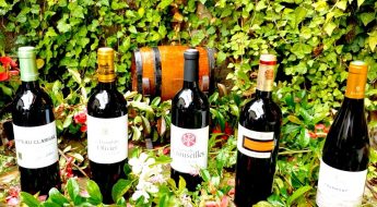 Sélection de vins audacieux pour le printemps