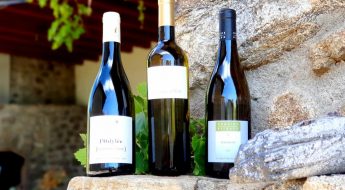 Sélection Côtes du Rhône Blancs