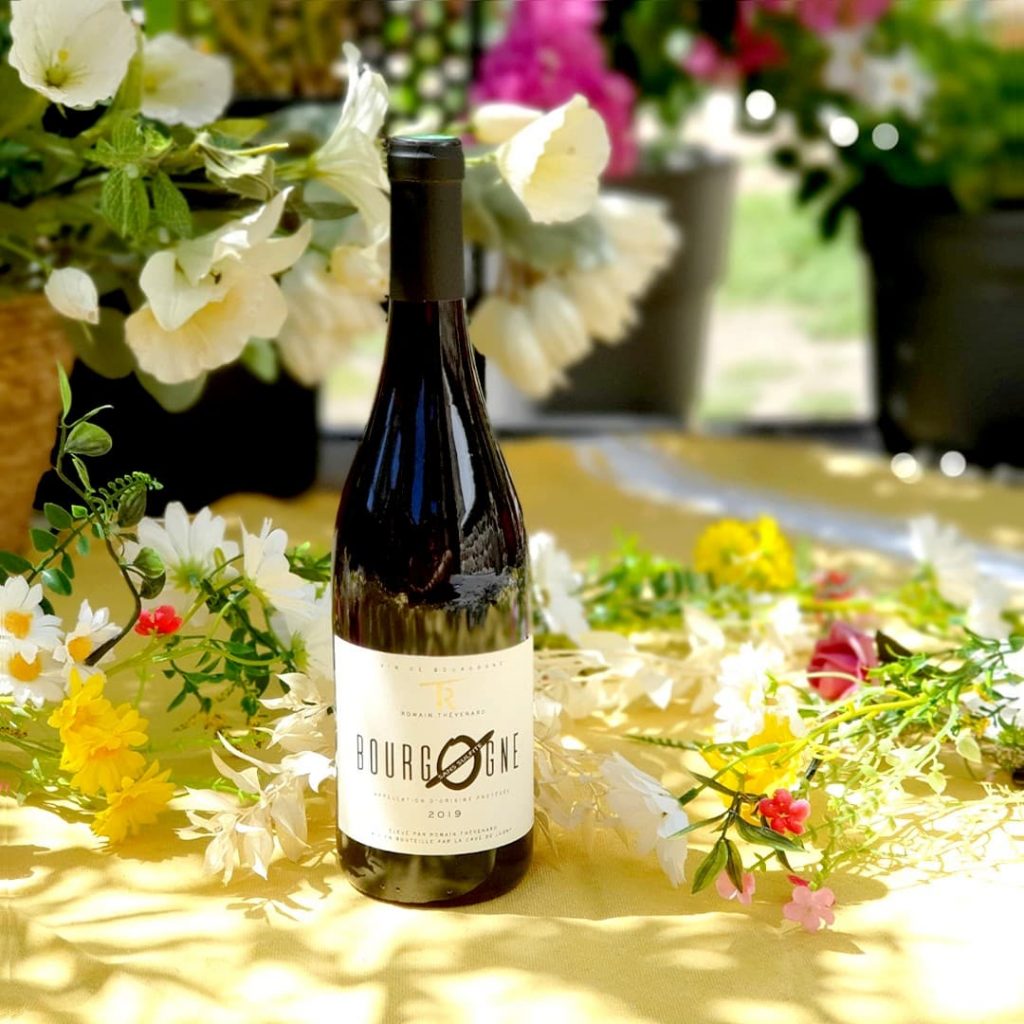 Vins estivaux : Bourgogne Pinot Noir - Zero - Sans sulfite