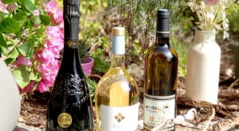 Sélection vins de Bordeaux Blancs