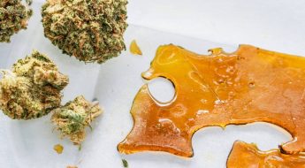 Produits au CBD qu'en est-il de la résine