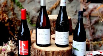 Vins confidentiels février 2023