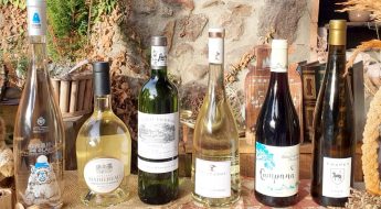 Sélection vin mars 2023