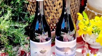 Vins rouges A ceux qui rêvent VEC