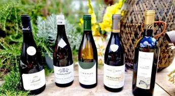 Sélection vins de terroir