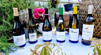 Vins blancs du Pays d’Oc 6 cuvées ensoleillées à découvrir