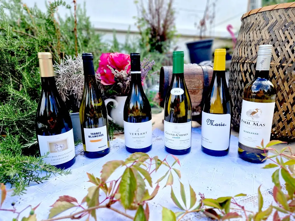 Vins blancs du Pays d’Oc 6 cuvées ensoleillées à découvrir