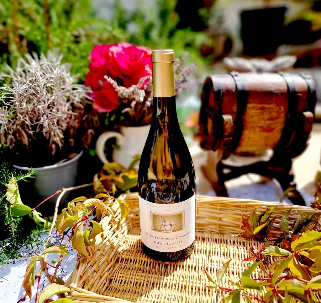 Chardonnay Domaine Saint Jean de lA cavalerie