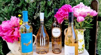 Vins rosés été 2025