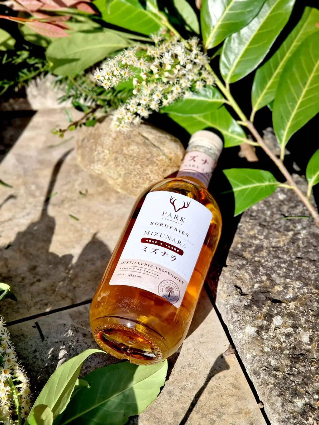 Cognac Park Mizunara 5 ans - avis