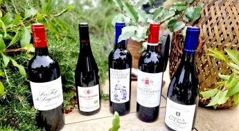 Rentrée vinicole 2025