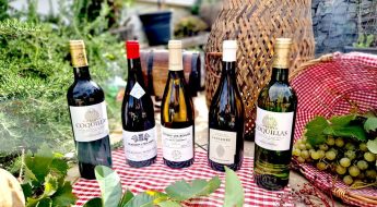Sélection vins septembre 2025