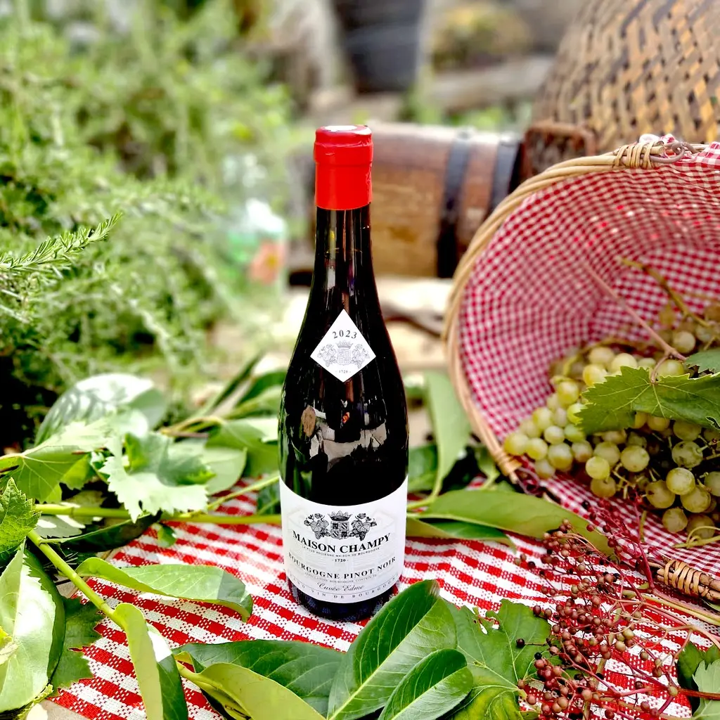 Maison Champy Cuvée Edme Rouge