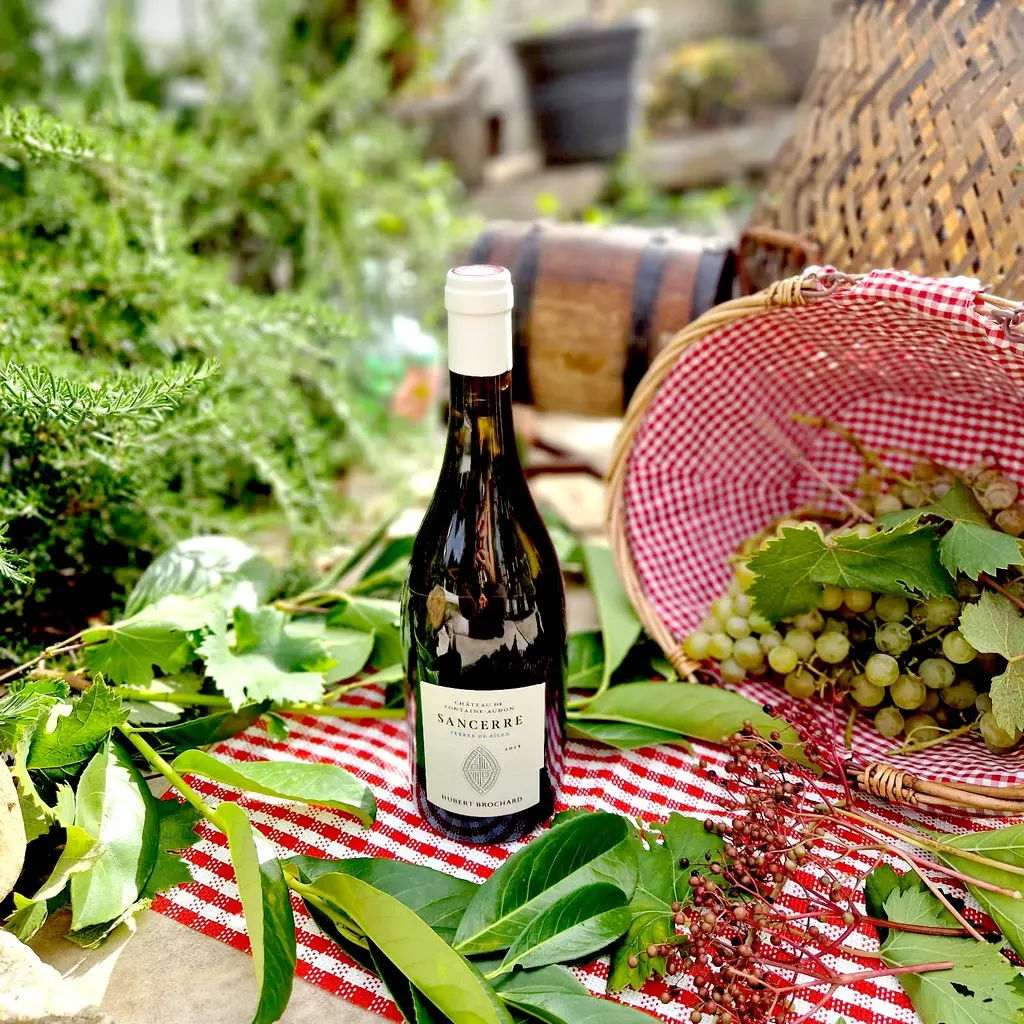 Sancerre Terre de Sillex 2023 – Château de Fontaine Audon