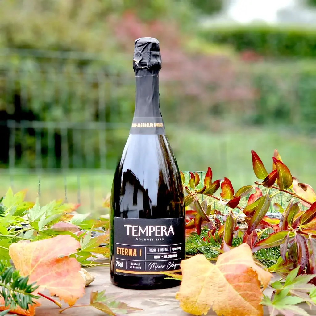 Tempera vin sans alcool haut de gamme - avis