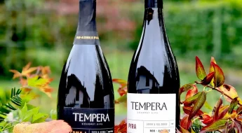 Tempera vin sans alcool haut de gamme