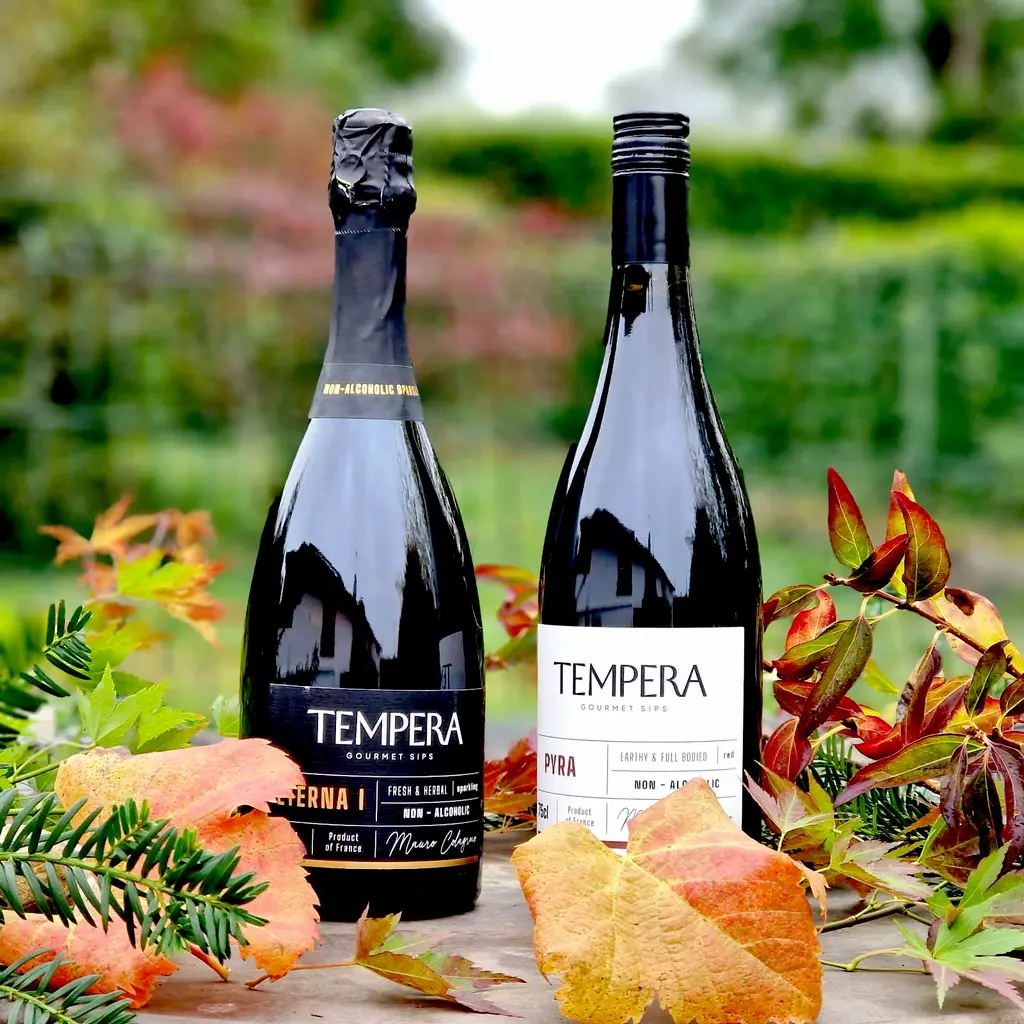 Tempera vin sans alcool haut de gamme