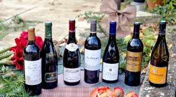 Sélection vins d'automne 2025