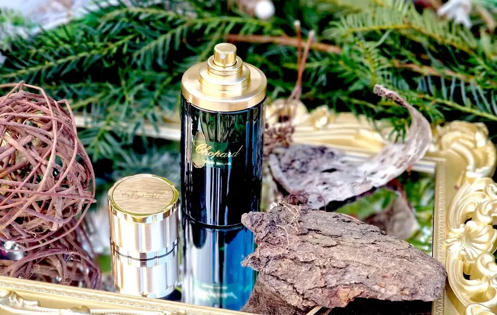 Cedar malaki Chopard - test & avis