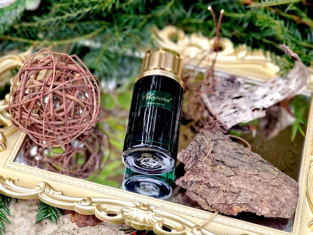 Bois de cèdre ingrédient principal Cedar Malaki Chopard