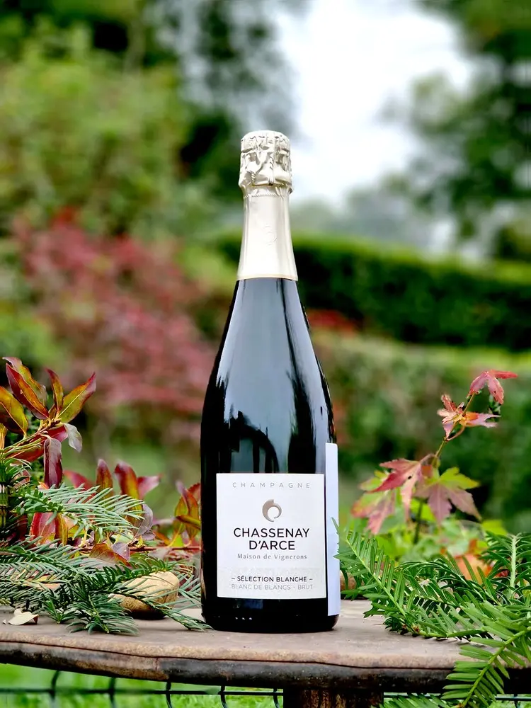 Chassenay d'Arce Blanc de Blancs