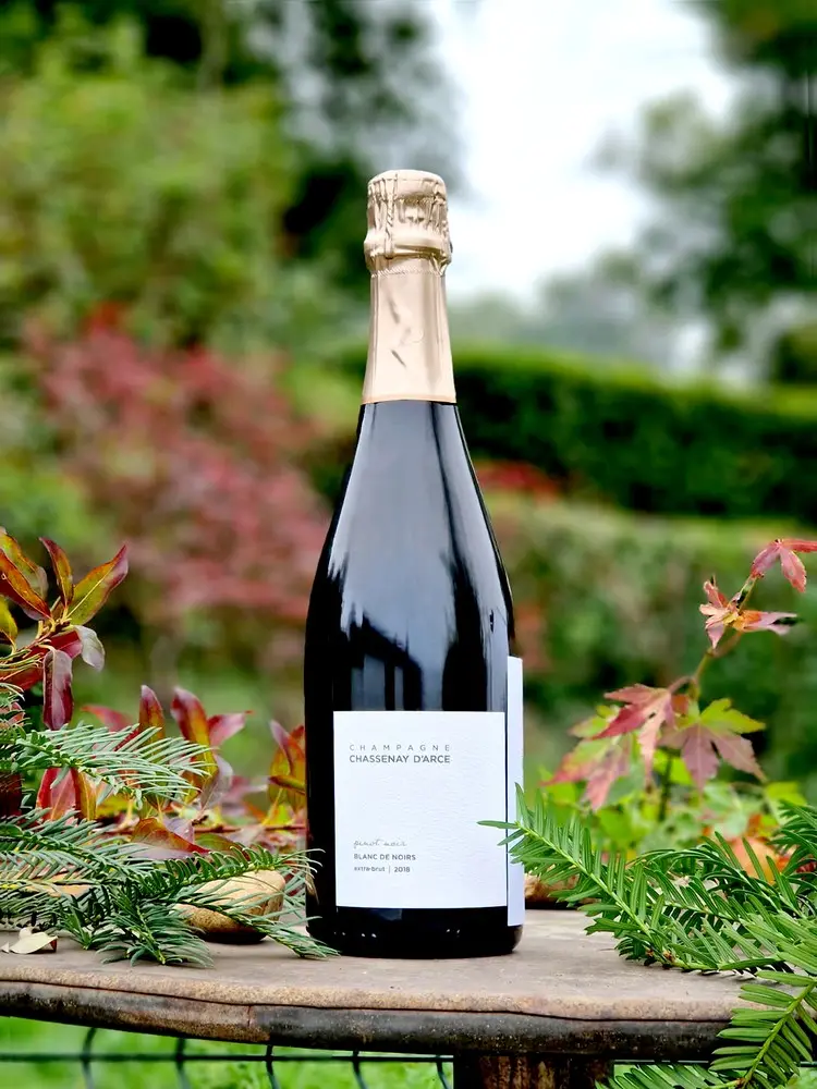Chassenay D'Arce Pinot Noir 2018
