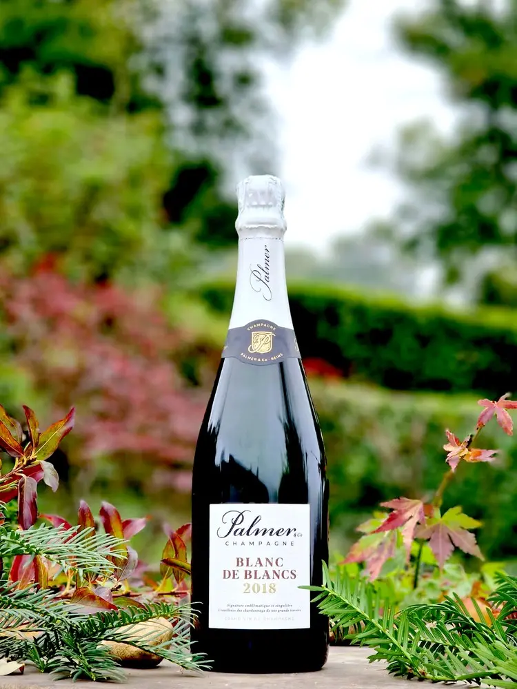 Champagne Palmer & co Blanc de Blancs 2018