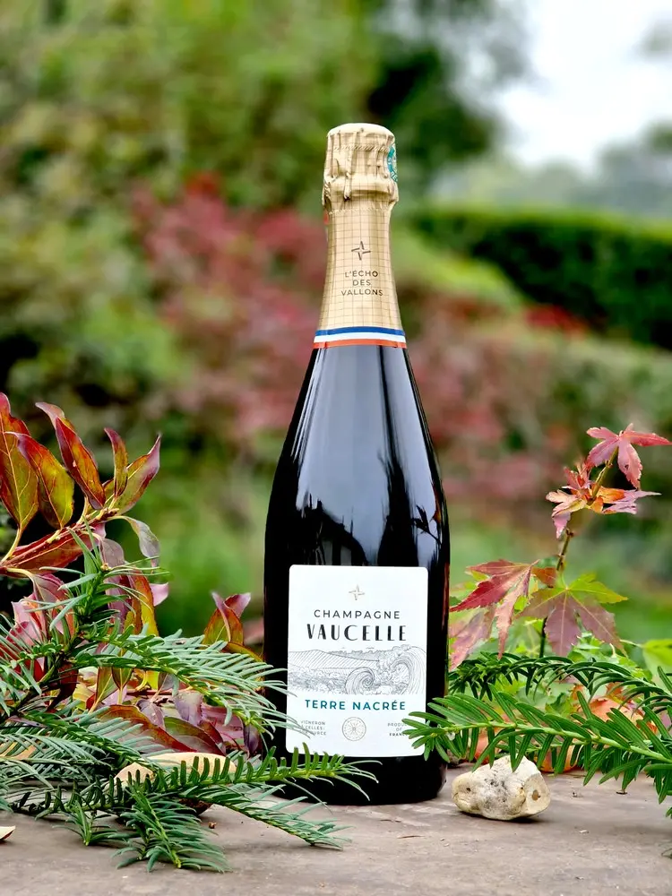 Champage Vaucelle Terre Nacrée