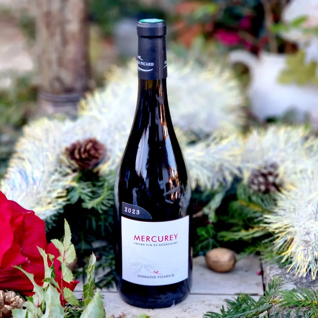 Mercurey Domaine Voarick 2023