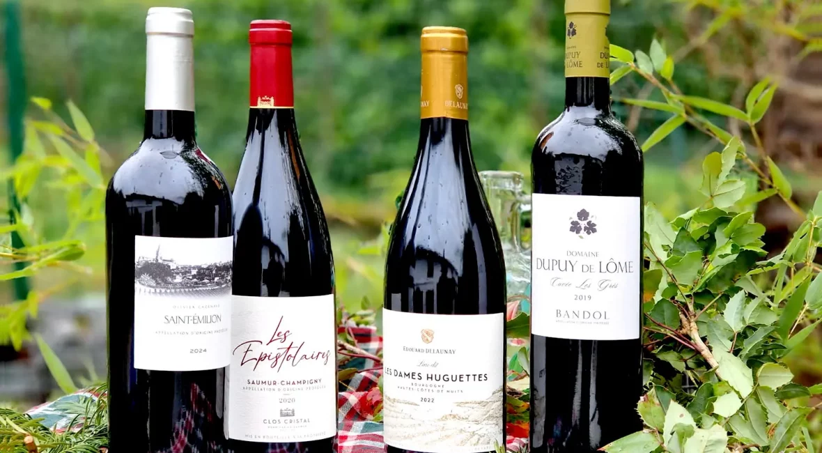 Sélection vins rouges décembre 2025