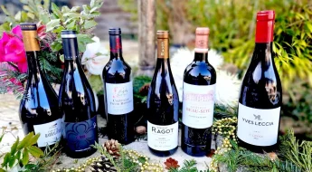 Vins rouges Nouvel An 2026 6 cuvées de 12 à 35€