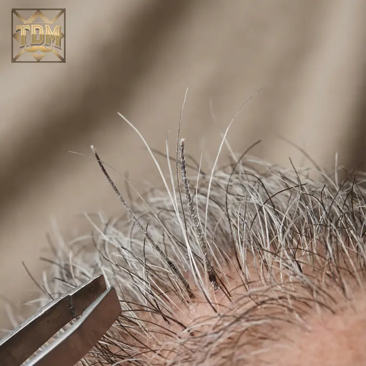Gros plan macro sur des poils de barbe blancs et gris montrant la texture naturelle et la structure capillaire