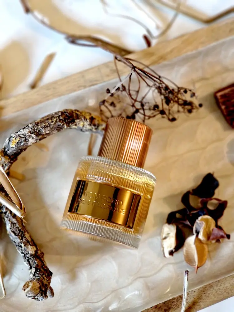 Présentation sobre Tom Ford