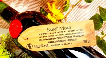 Le Faîte Saint Mont 2009