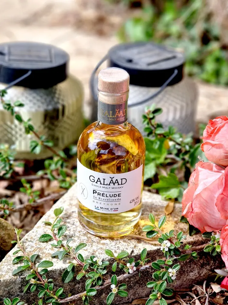 Galaad Prélude