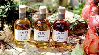 Avis Coffret Dégustation GALAAD 3 whiskies bretons à découvrir