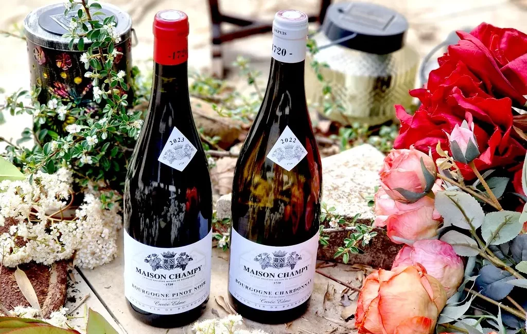 Maison Champy Edme Chardonnay 2022 & Pinot Noir 2023
