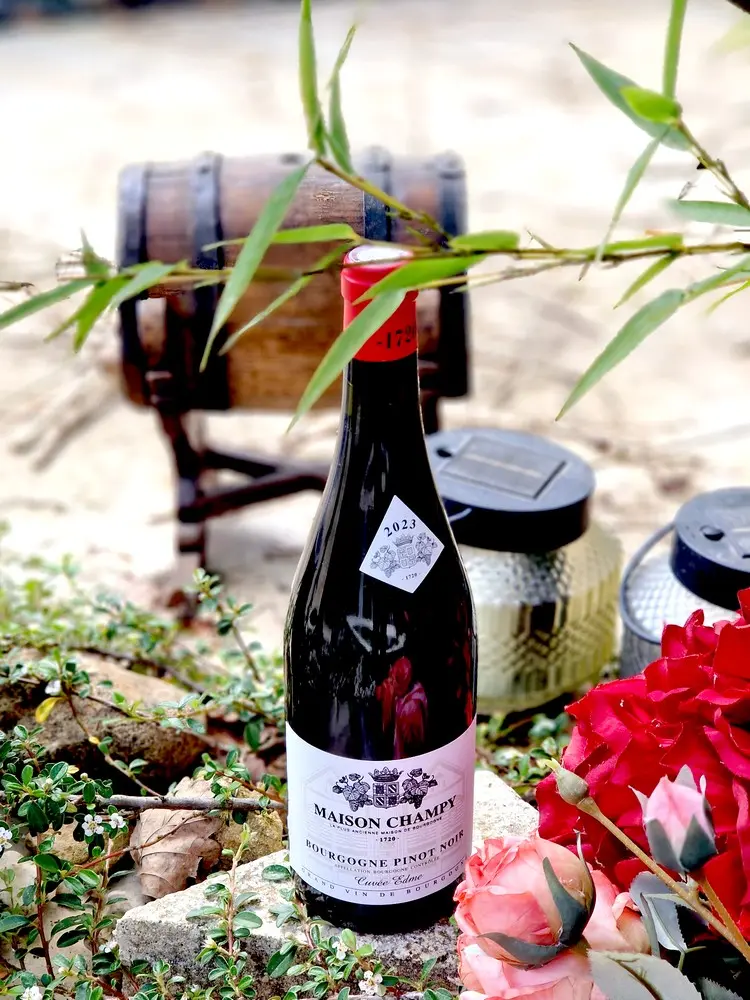 Maison Champy Edme Pinot Noir 2023