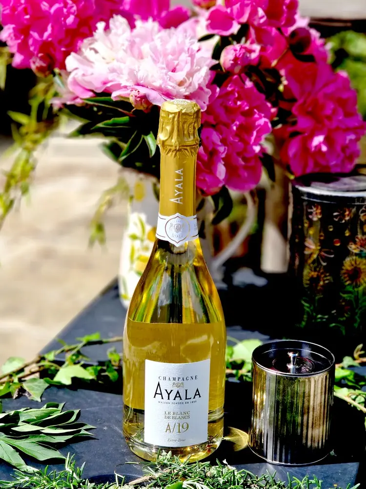 Collection A/ 19 Ayala