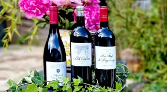 Sélection vins rouges mai 2026