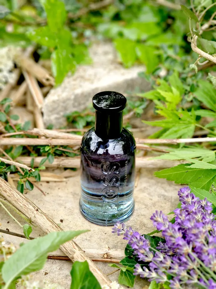 Nouveau parfum BOSS Pour Homme