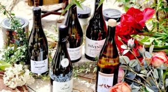Vins juillet 2026 4 appellations pour l'été