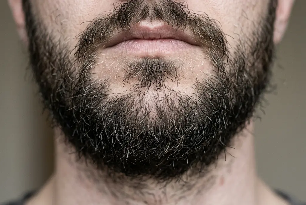 barbe rêche et sèche gros plan poils durs