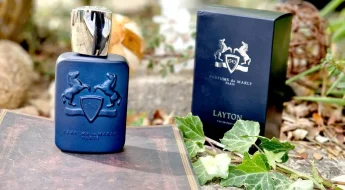 Layton PDM avis