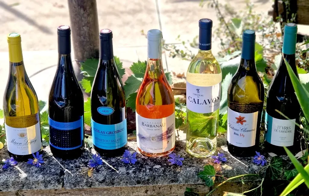 Sélection vins d'automne 2026 7 cuvées qui prolongent l'ambiance estivale